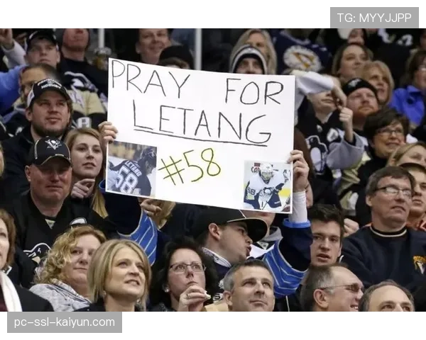 参议院听证会聚焦NHL球员脑震荡长期医疗福利保障法案